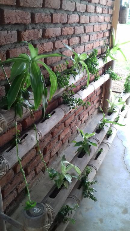 Longchen Homestay Dimapur Экстерьер фото